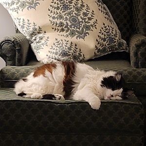 Meet your Posher, Kathleen